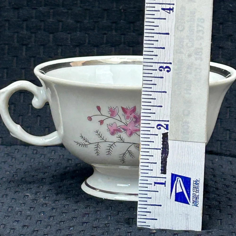 Karolina Poland China Teacup Pink Floral‎ Silver Trim Vintage Porcelain 3879 7